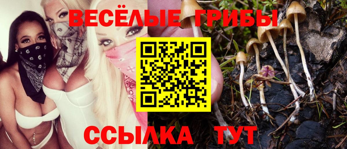 Псилоцибиновые грибы Psilocybine cubensis Батайск