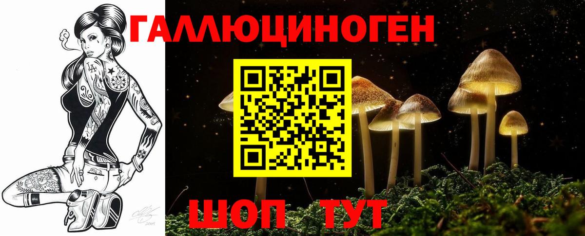наркотики  Псилоцибиновые грибы ЛСД  Вход с VPN  Батайск  Галлюциногенные грибы Psilocybine cubensis 